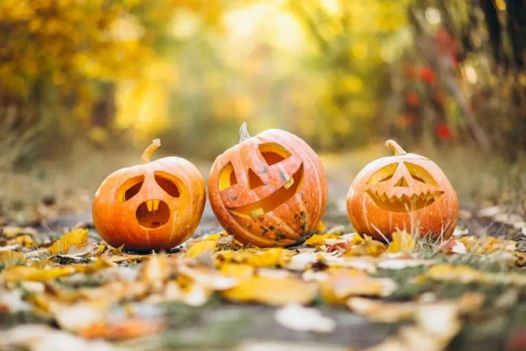 découvrez l'univers mystérieux d'halloween ! plongez dans les traditions, les costumes effrayants et les citrouilles sculptées. préparez-vous pour une soirée pleine de frissons et de surprises avec nos conseils pour célébrer cette fête mythique.