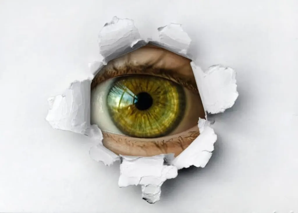 découvrez l'importance de la protection de la vie privée dans le monde numérique actuel. apprenez comment sécuriser vos données personnelles et naviguer en toute sécurité en ligne.