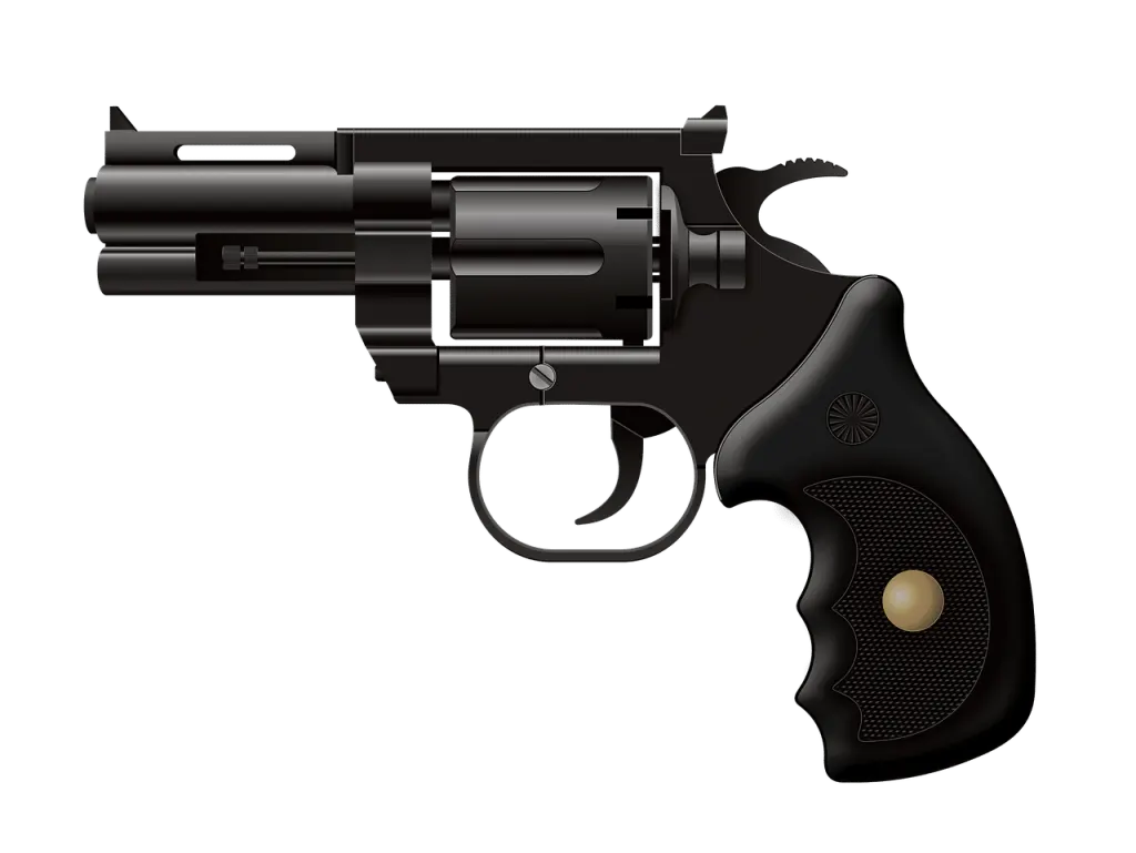 découvrez tout sur les armes à feu : types, usages, règles de sécurité et législation en vigueur. informez-vous sur l'univers des armes à feu et leur impact sur la société.