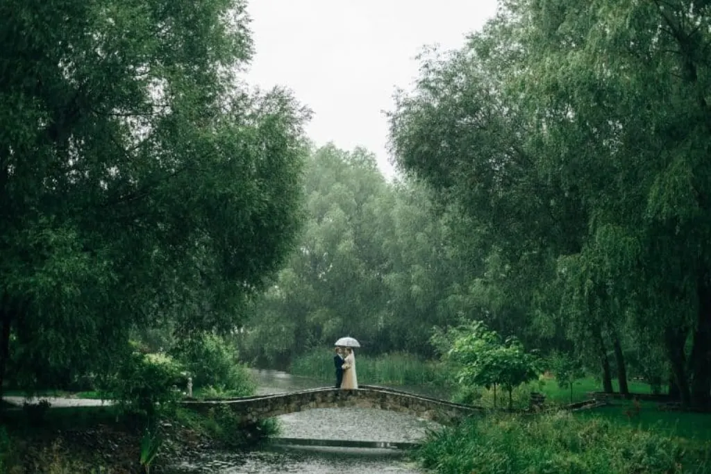 découvrez des idées inspirantes pour organiser le mariage de vos rêves. des conseils pratiques sur la décoration, le choix du lieu, la tenue et plus encore pour faire de ce jour un moment inoubliable.