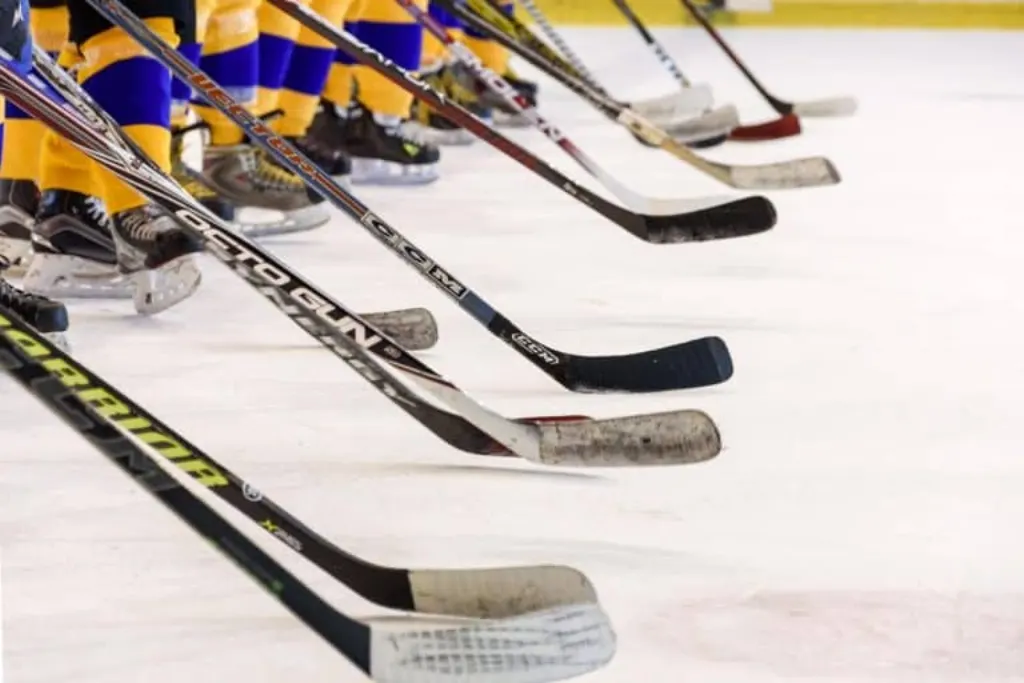 découvrez tout l'univers de la nhl : actualités, résultats des matchs, analyses des performances des équipes et joueurs, et bien plus encore pour les passionnés de hockey sur glace.