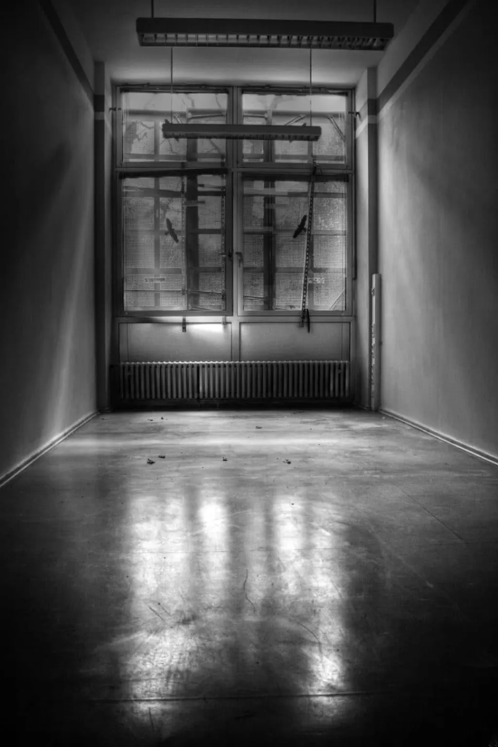 découvrez l'univers complexe des prisons, un lieu de réhabilitation et de punition. explorez les enjeux sociaux, psychologiques et légaux entourant l'incarcération, ainsi que les défis auxquels les détenus et le personnel pénitentiaire font face au quotidien.