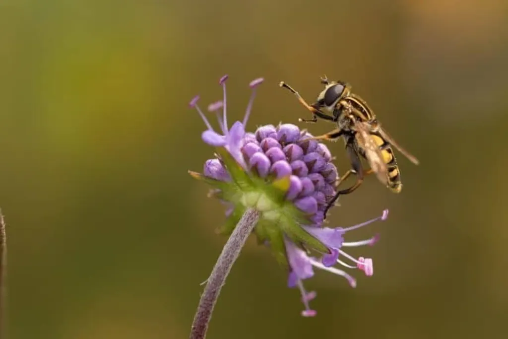 découvrez ce qu'est un swamp, ses caractéristiques uniques, son écosystème riche en biodiversité et son importance pour l'environnement. apprenez comment ces zones humides jouent un rôle crucial dans la préservation de la nature.