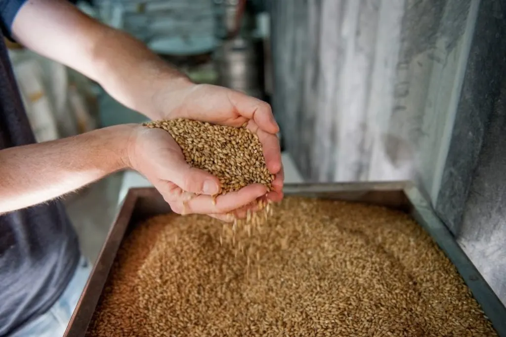 découvrez westminster brewery, une brasserie artisanale renommée pour ses bières authentiques et savoureuses, brassées avec passion au cœur de londres.