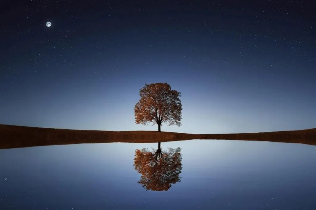 découvrez nos conseils et réflexions sur la solitude, ses bienfaits et comment l'apprivoiser pour mieux vivre avec soi-même.
