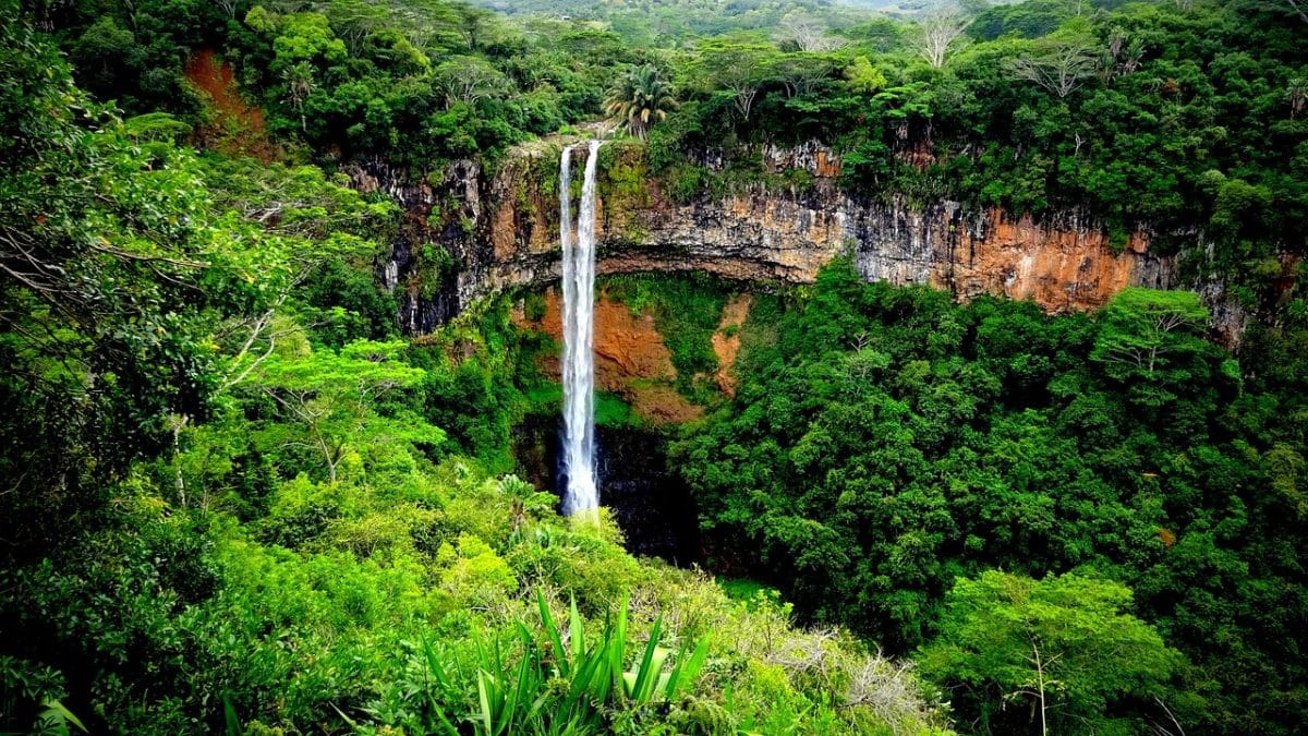 découvrez l'île maurice, un paradis tropical aux plages de sable blanc, aux eaux turquoise et à la culture riche. explorez ses paysages majestueux, savourez une cuisine exquise et vivez une expérience inoubliable au cœur de l'océan indien.