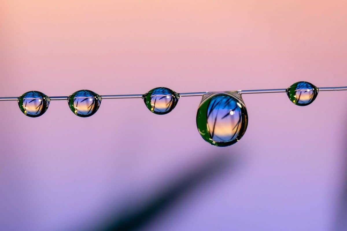 découvrez 'home shame', un podcast captivant explorant les émotions et les secrets qui se cachent derrière nos foyers. plongez dans des récits sincères et touchants qui révèlent la complexité de notre rapport à l'habitat et à la famille.