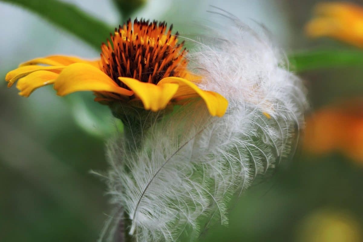 découvrez l'univers créatif des zines, ces publications indépendantes qui allient art, écriture et culture. plongez dans la diversité de voix et de récits proposés par des artistes et des écrivains passionnés.