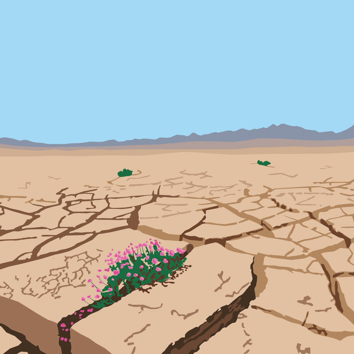 découvrez les régimes extrêmes et leurs impacts sur la santé. apprenez comment ces méthodes de perte de poids peuvent influencer votre bien-être et explorez des alternatives plus équilibrées pour atteindre vos objectifs nutritionnels.