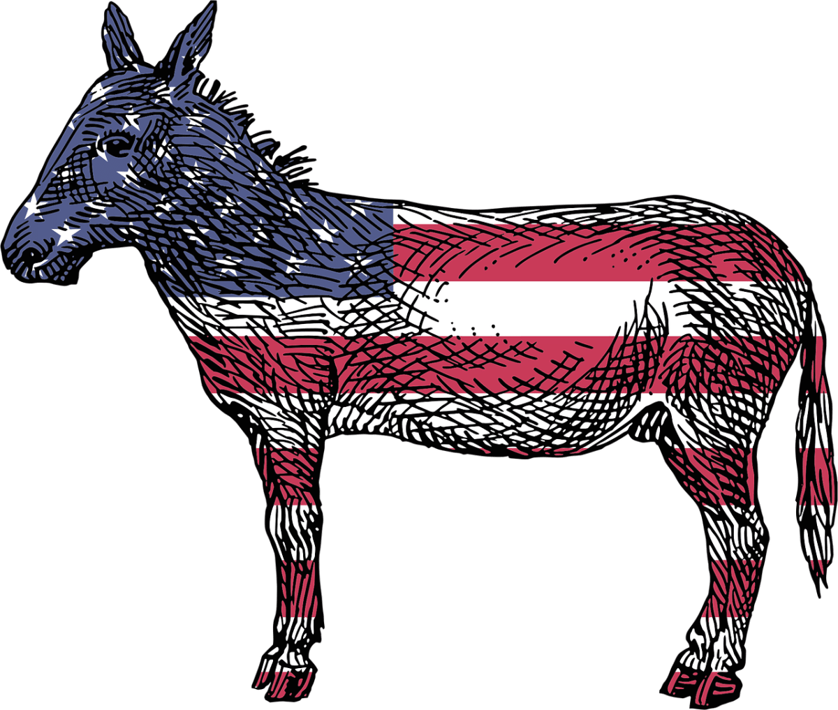 découvrez qui sont les démocrates, leur histoire, leurs valeurs et leur rôle dans la vie politique. tout sur le parti démocrate, ses positions et son influence aujourd'hui.