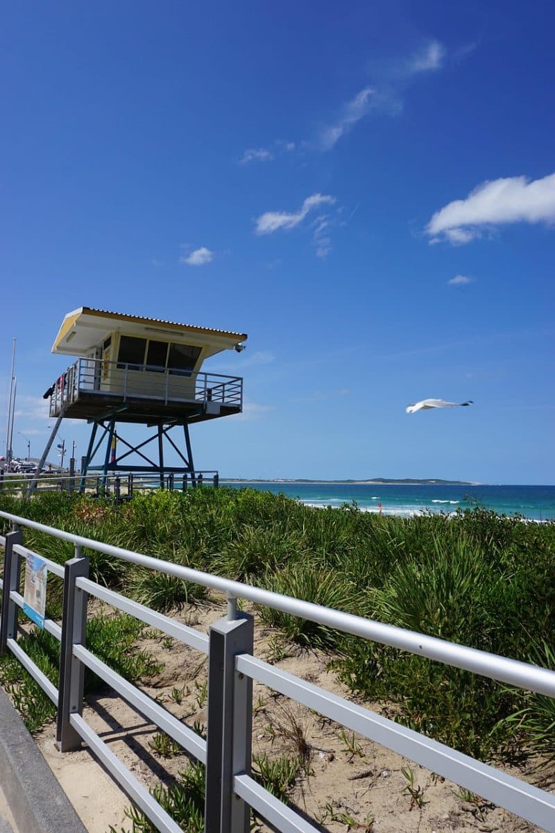 découvrez bluesky, la nouvelle plateforme sociale innovante qui révolutionne la communication en ligne avec transparence et contrôle utilisateur.