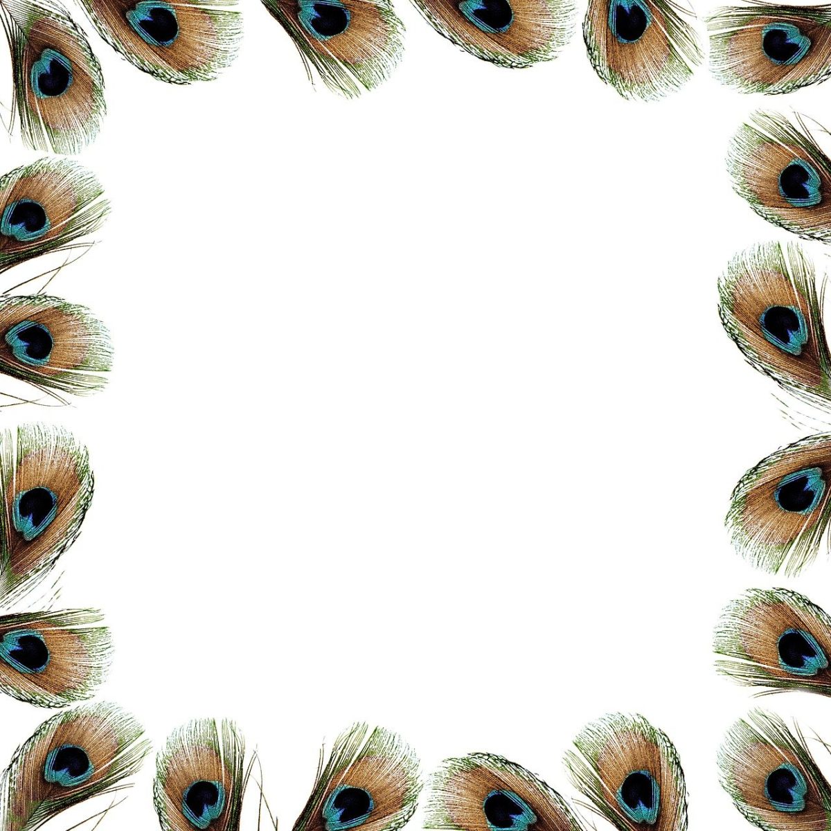 découvrez comment snapchat estime l'âge de ses utilisateurs et les méthodes utilisées pour vérifier l'âge afin de protéger la communauté.