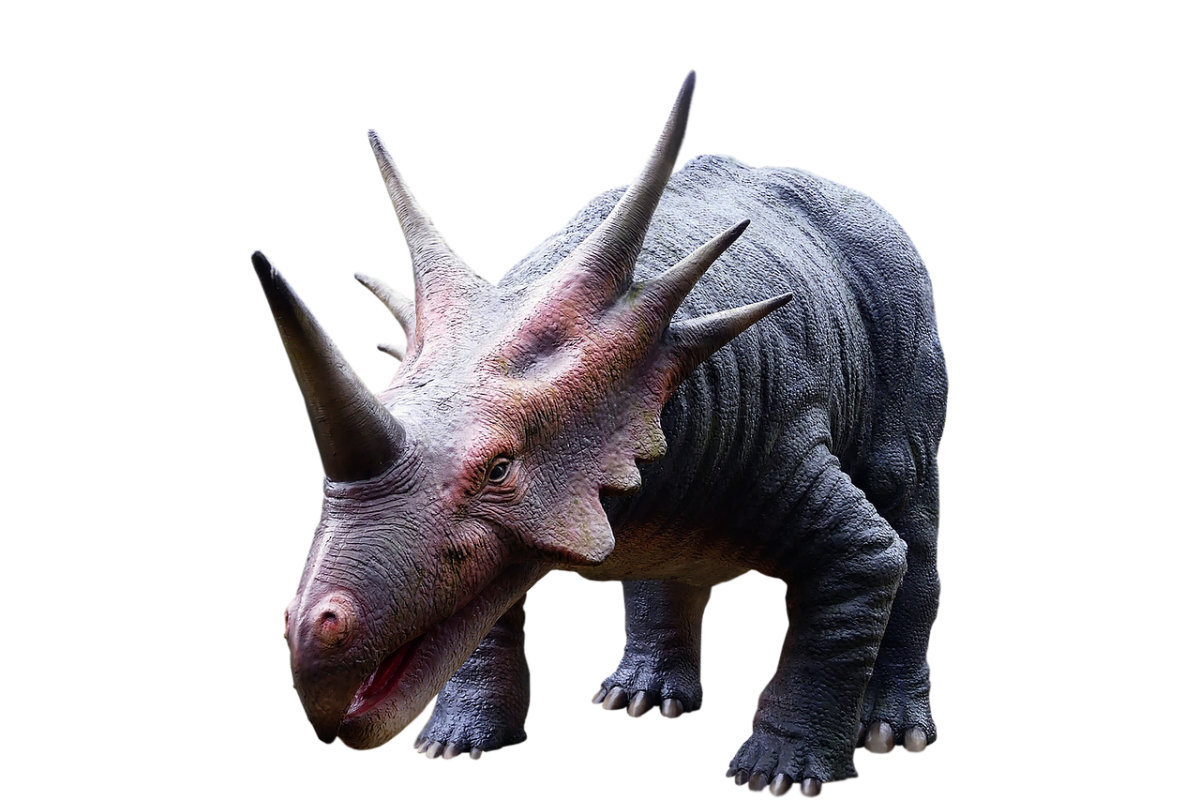 découvrez l'évolution du programme d'affiliation de macy's, ses avantages et comment maximiser vos revenus grâce à ce partenariat gagnant.