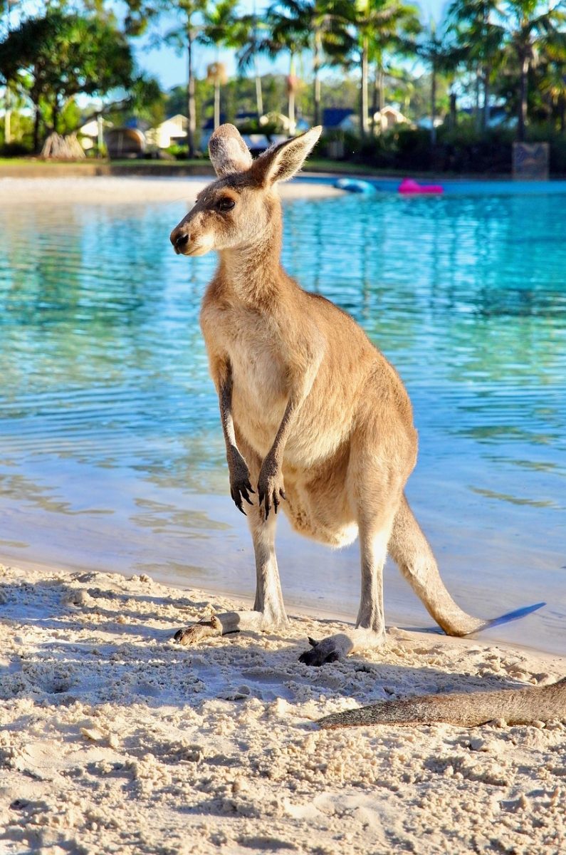 découvrez les dernières informations concernant les allégations impliquant kate beckinsale et mark ruffalo, avec un aperçu des faits et des réactions.